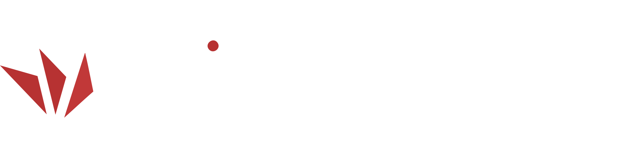 Triconsulte | Consultoria & Apoio à sua medida